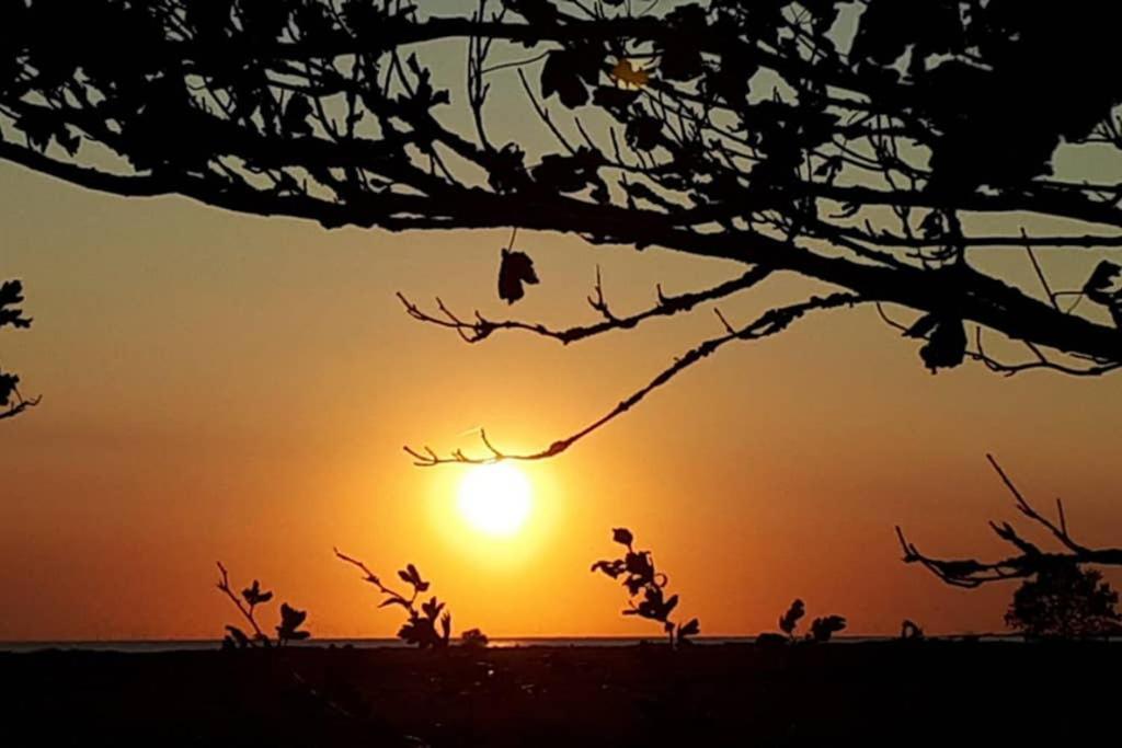 Vakantiehuisje Gaasterland Oudemirdum Friesland Nederland Buitenkant foto